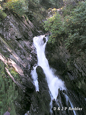 Devil's Bridge DB8