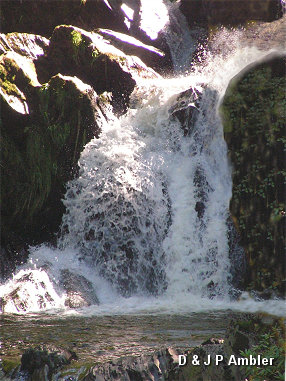 Devil's Bridge DB4