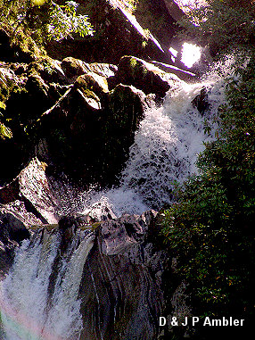 Devil's Bridge DB5