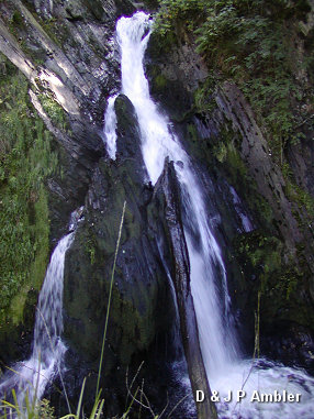 Devil's Bridge DB3