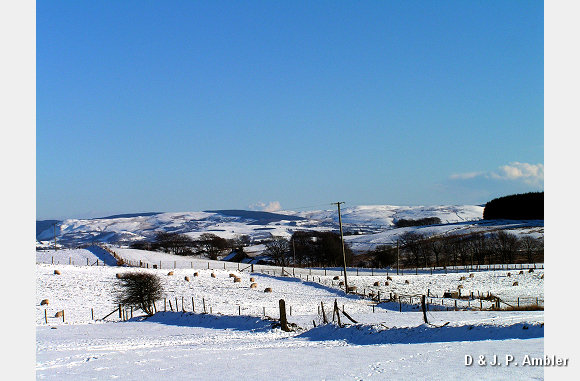 Snow near Trefenter