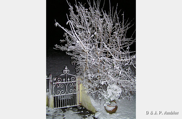 Night shots 002