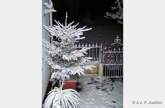 Night shots 003