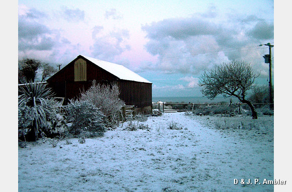 Early morning snow 002