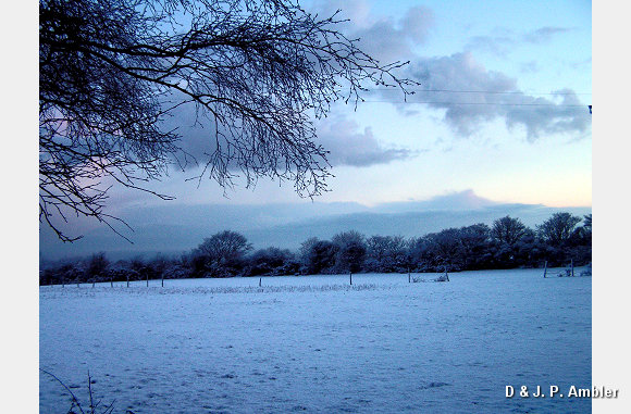 Early morning snow 003