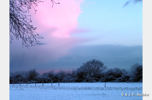 Early morning snow 004
