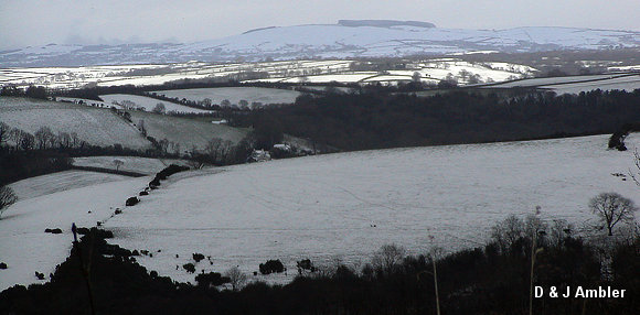 snow scenes