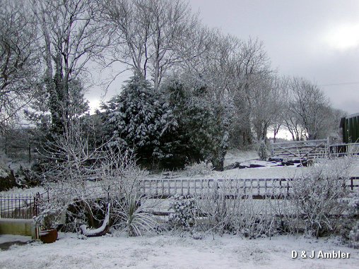 snow scenes 2