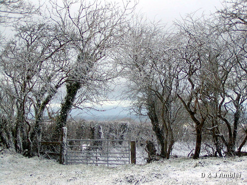 snow scenes 3
