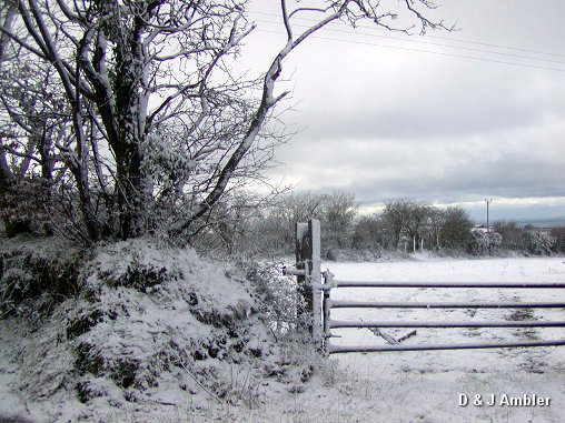 snow scenes 1