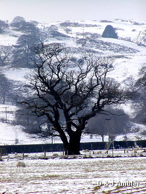 Around Machynlleth