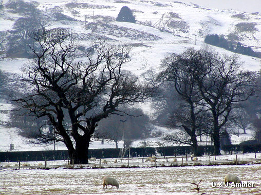Around Machynlleth 1