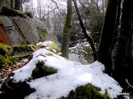 Cold Furnace 3