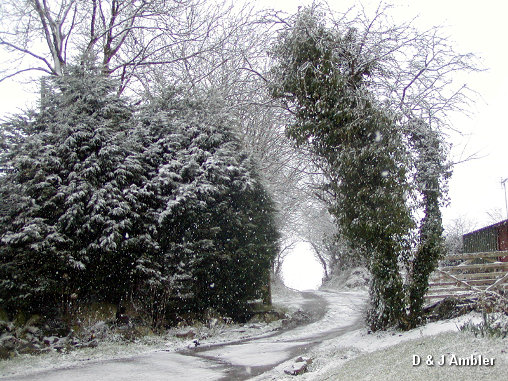 snow fall