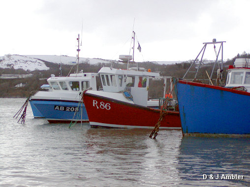 winter harbour 2