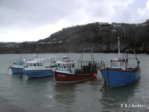 winter harbour